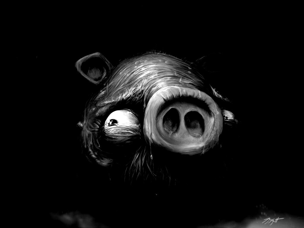 Свинья из Angry Birds обои