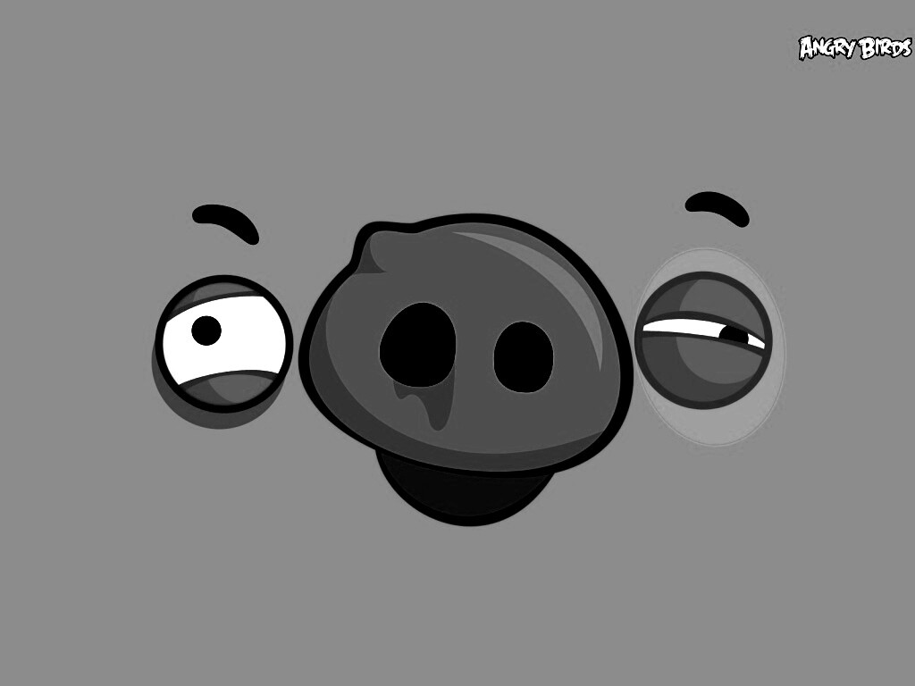 Свинья из Angry Birds обои