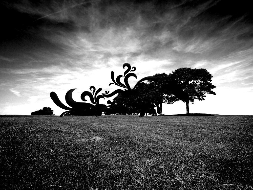 На равнине обои