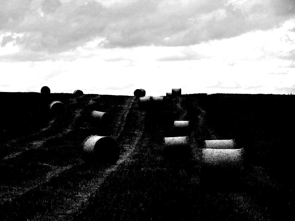 Уборка сена с поля обои