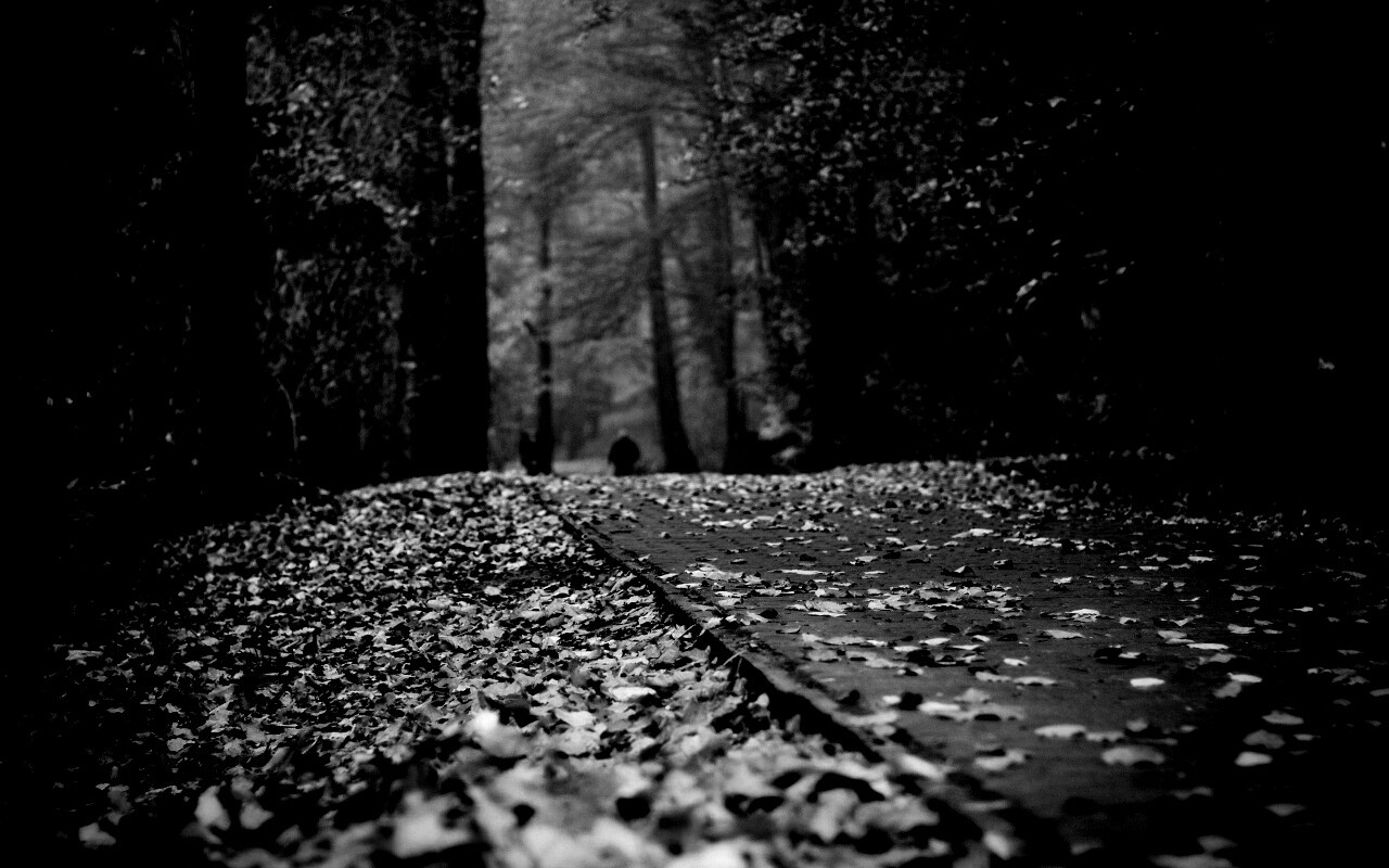 Осенняя дорога обои