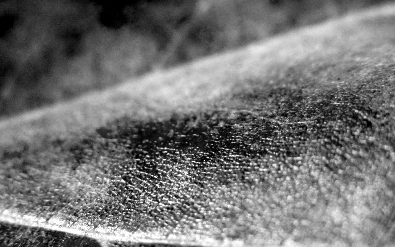 Повехность листа обои