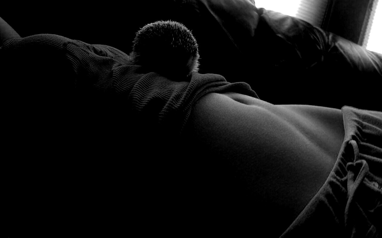 Девушка и ёжик обои