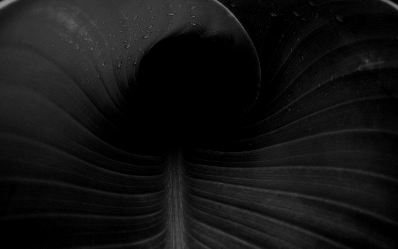 Свернутый в трубочку лист обои