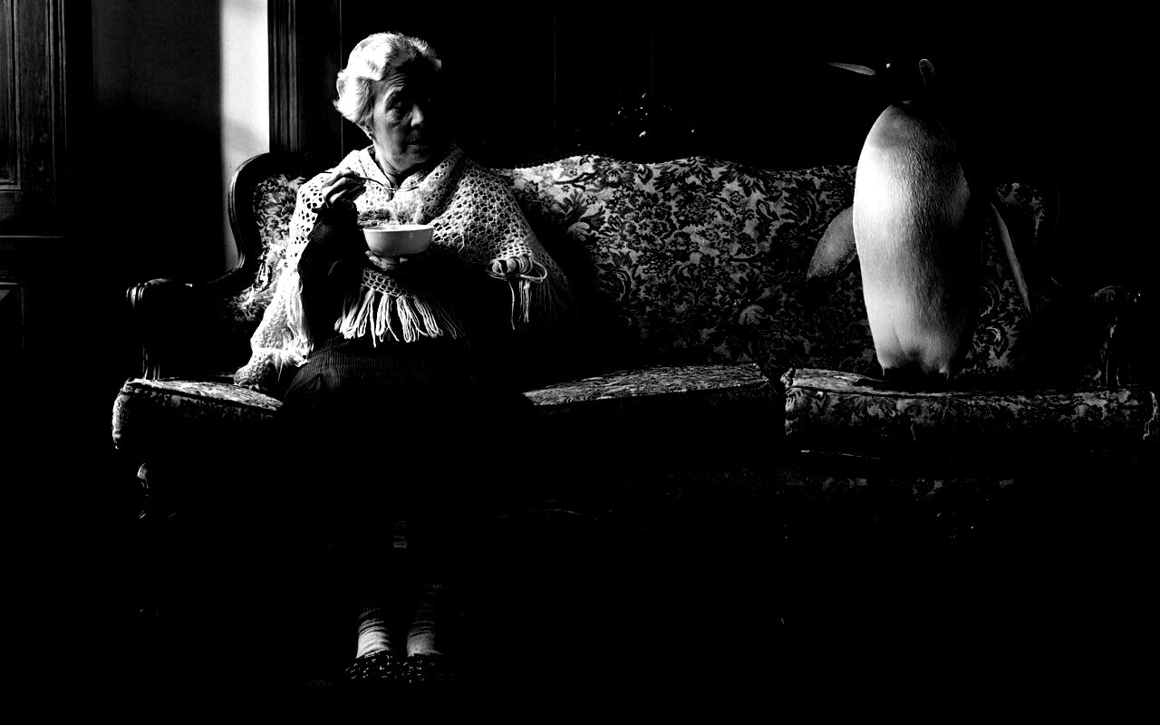 Соседи по дивану обои