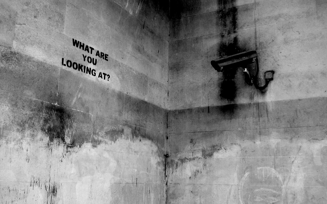 На что ты смотришь? обои