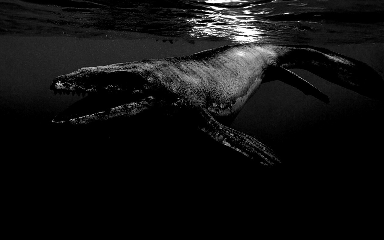 Морской динозавр обои