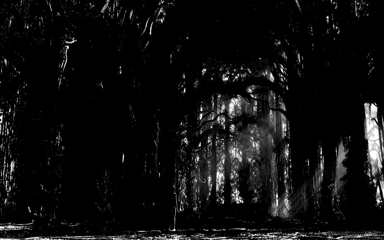 Одна в сумеречном лесу обои