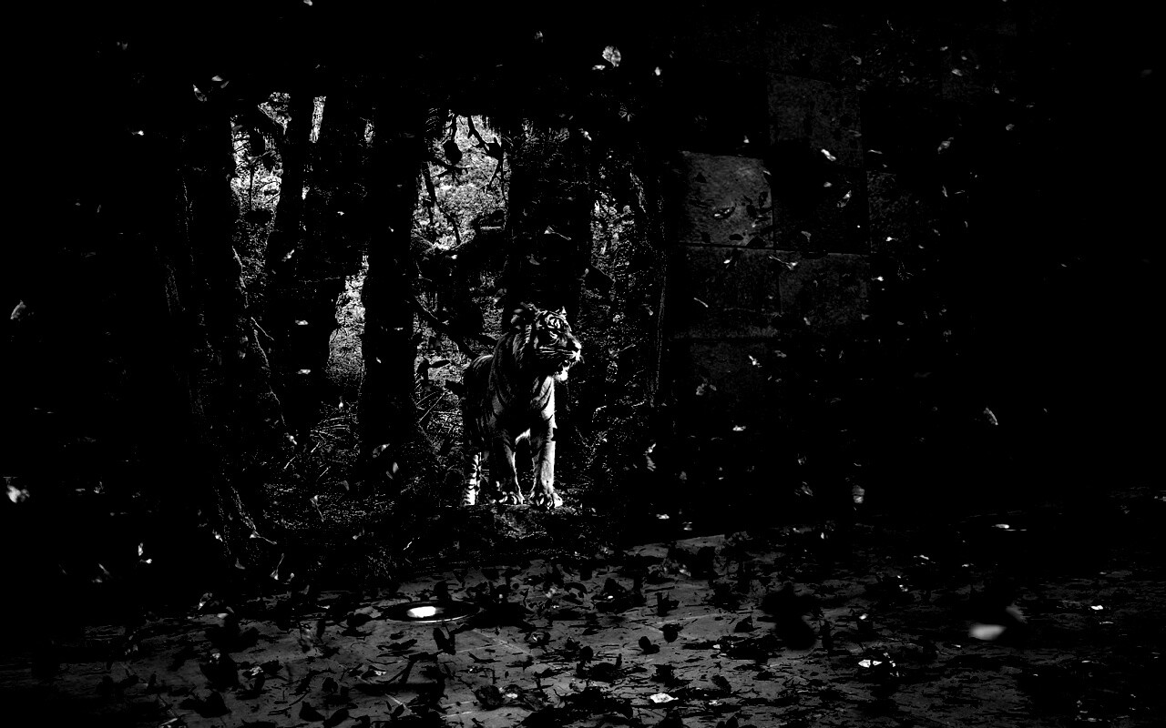 Портал в джунги обои