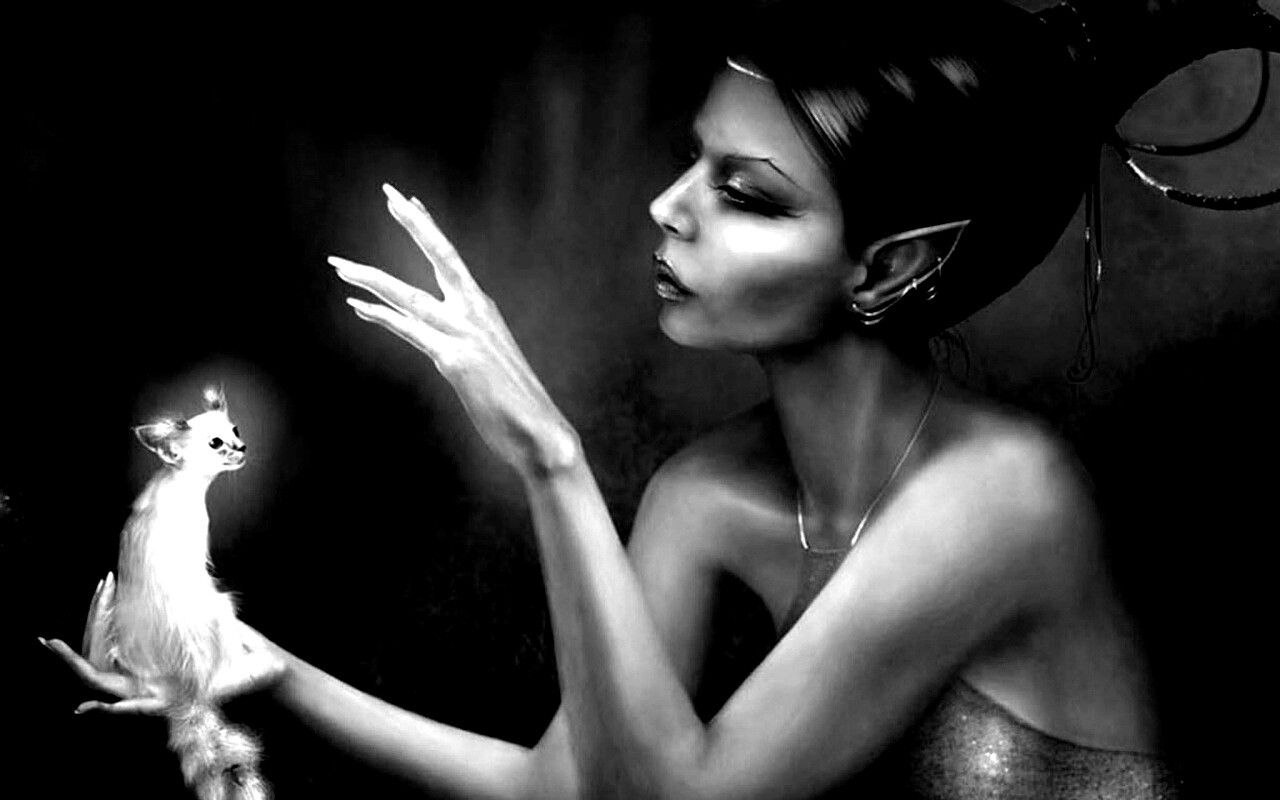 Почет и процветание обои