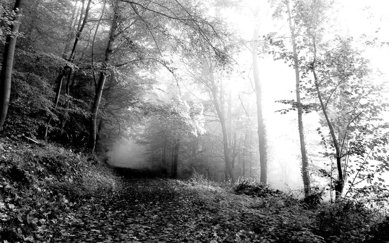 Осенний мистический пейзаж обои