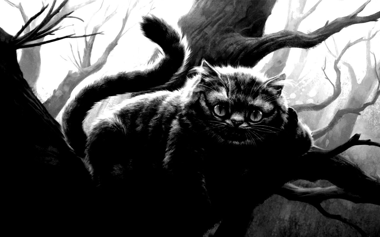 Чеширский кот обои