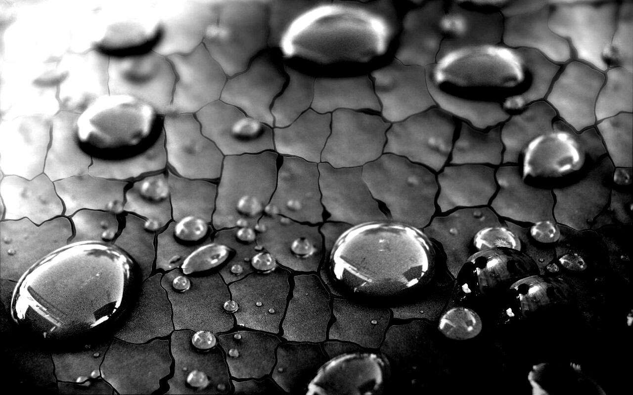 Божьи коровки обои