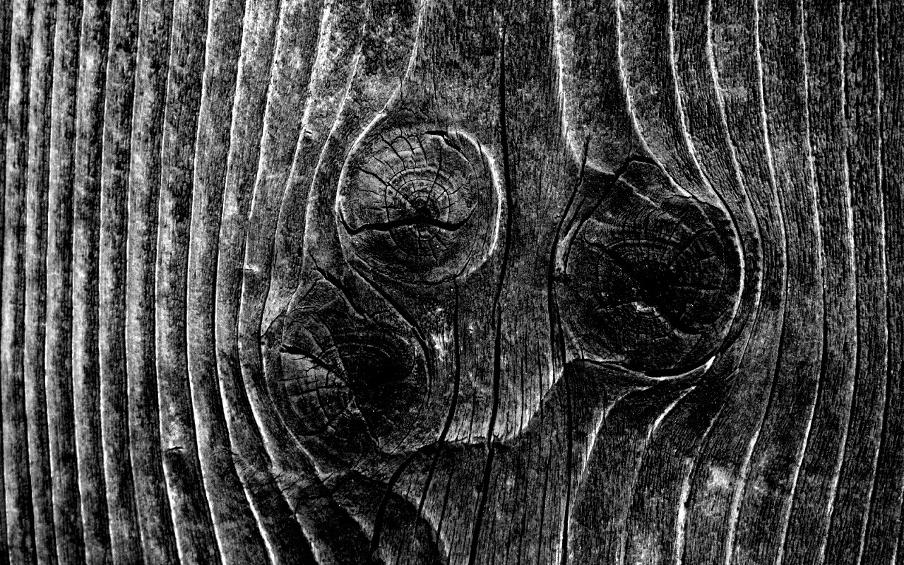 Сучковатое дерево обои