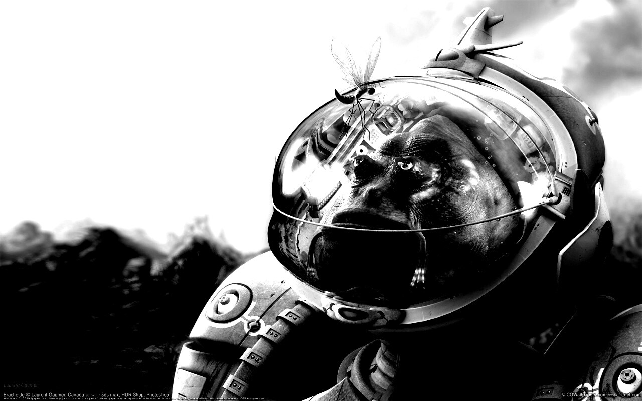 Инопланетянин и стрекоза обои