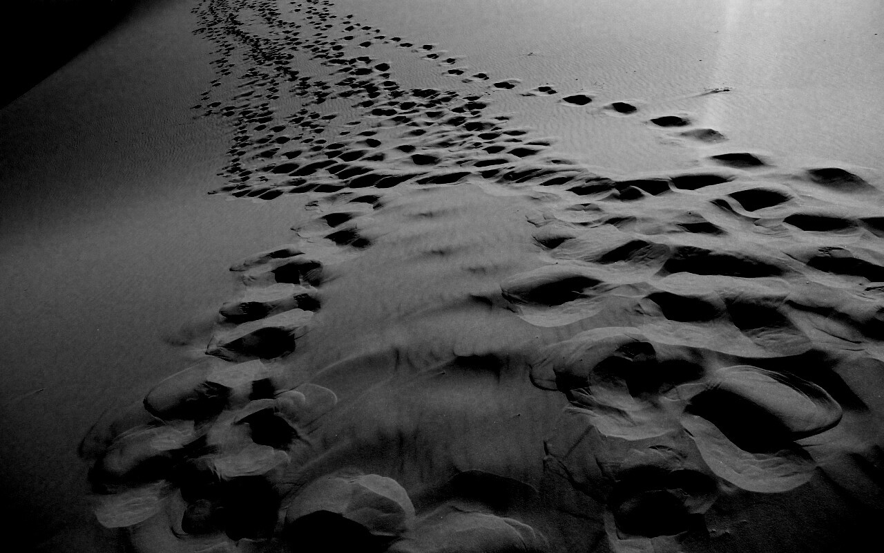 Следы в пустыне обои