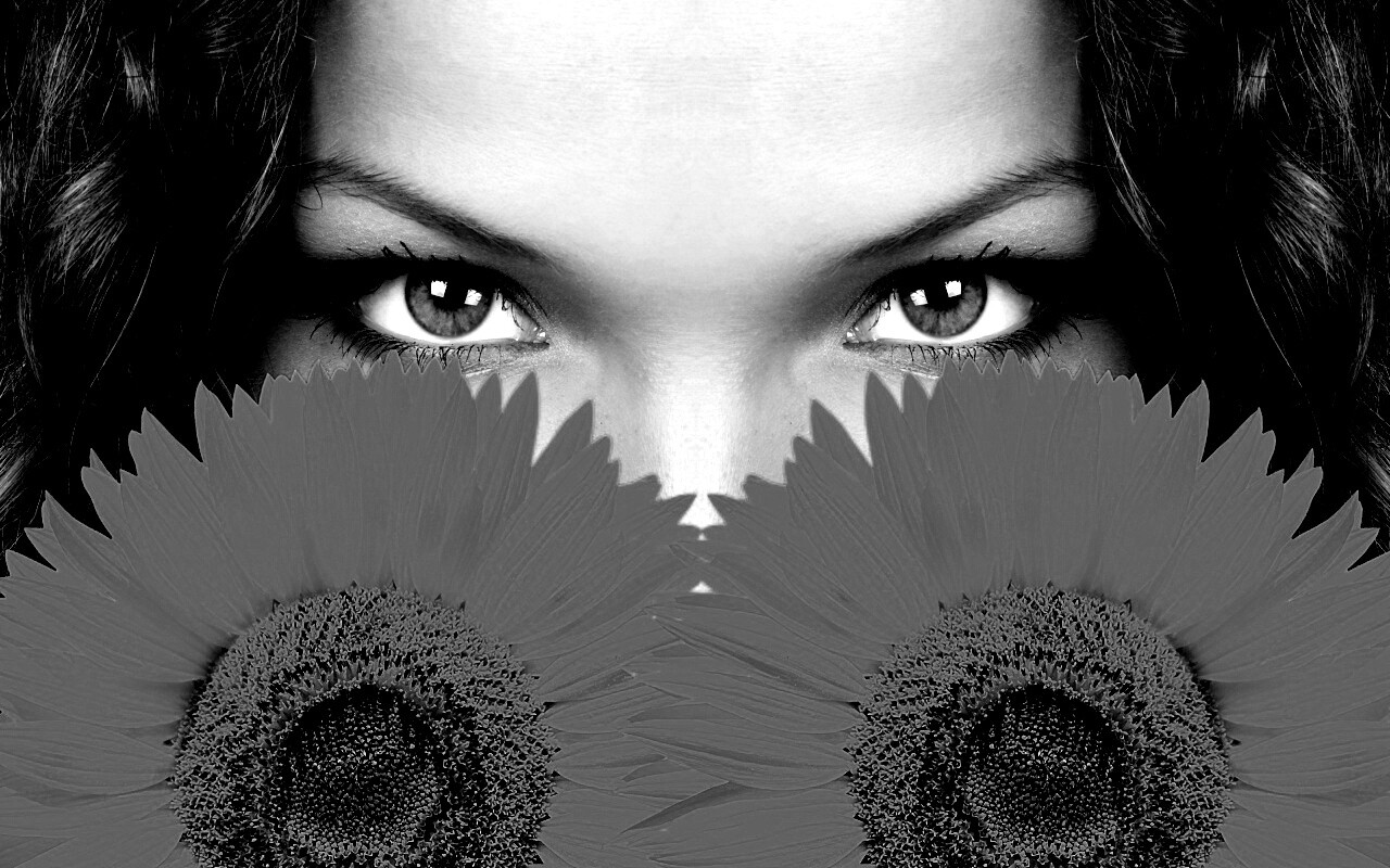 Девушка с желтыми ромашками обои