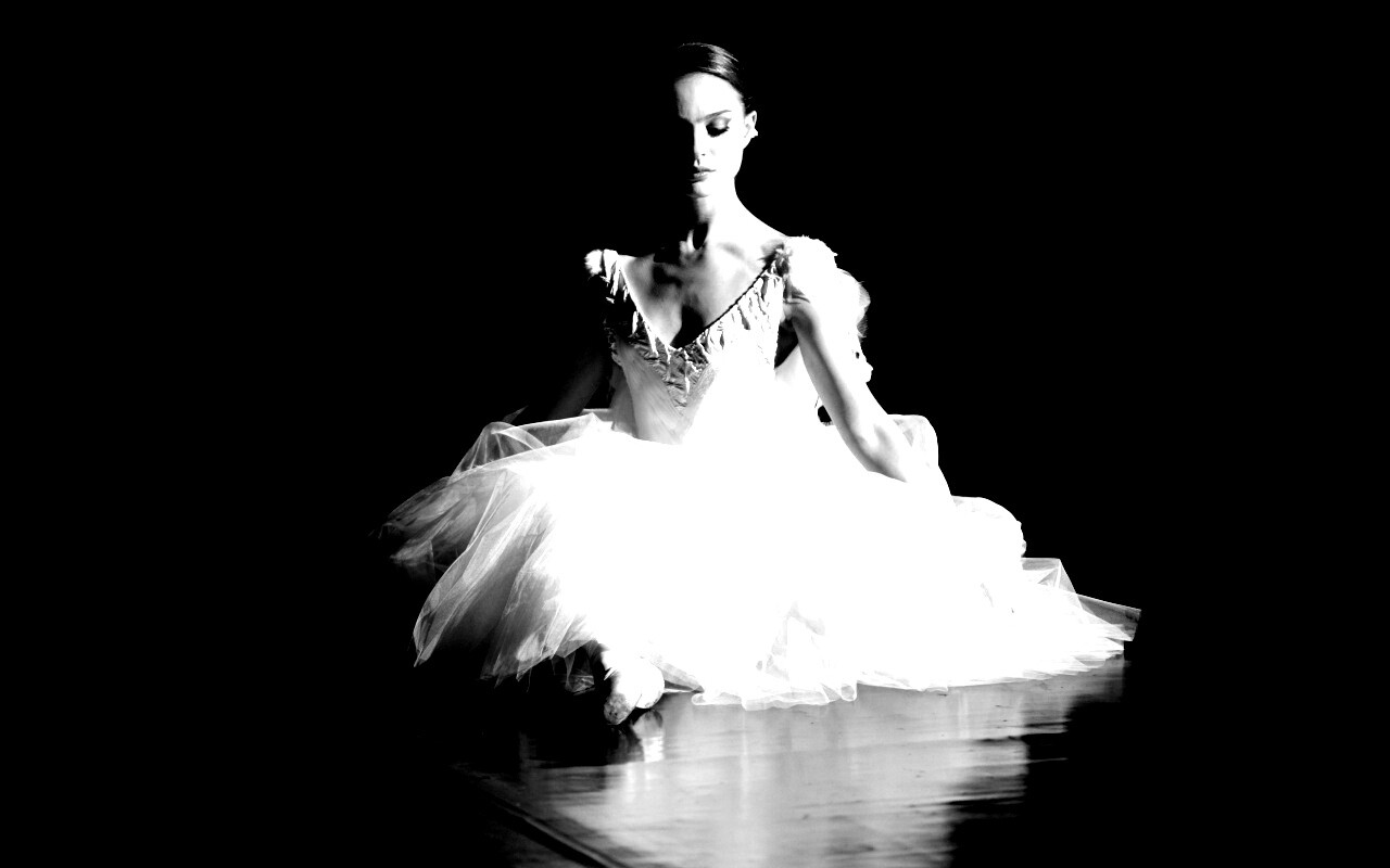 Черный лебедь обои