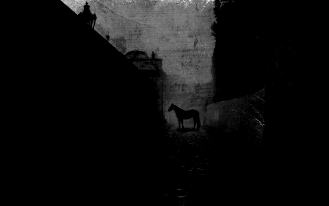 Лошадь в тумане обои