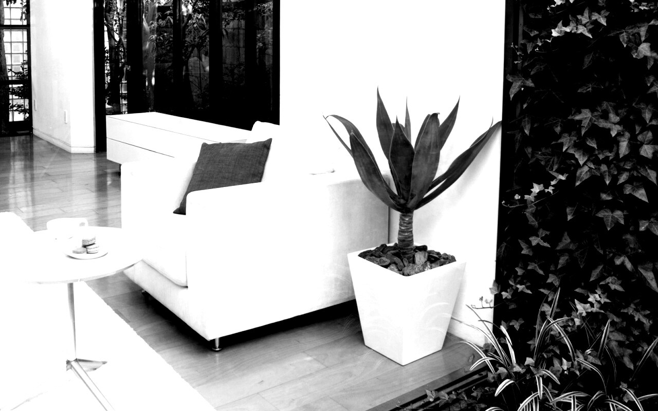 Белое кресло обои