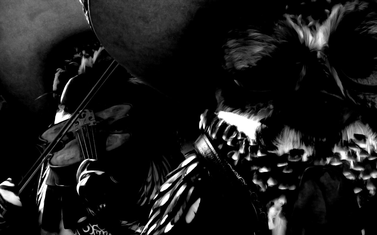 Совы-мариачи из Ранго обои