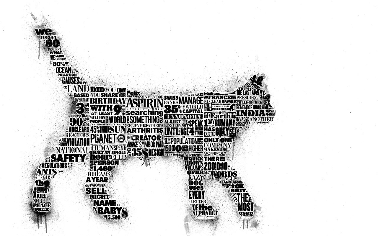 Кот - газета обои