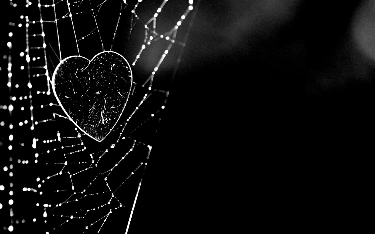 Запутавшаяся любовь.. обои