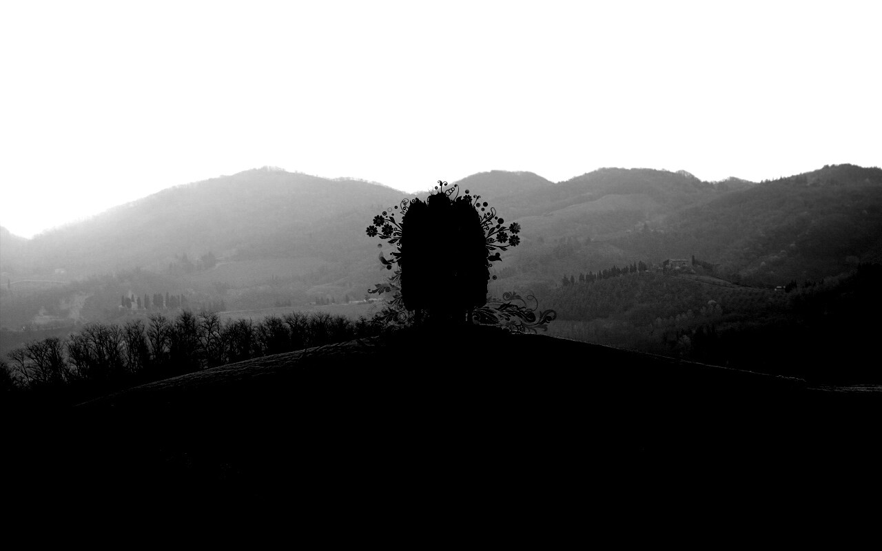 Деревья на холме обои