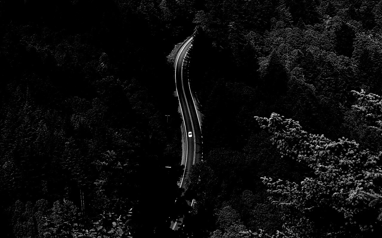 Лесная трасса обои