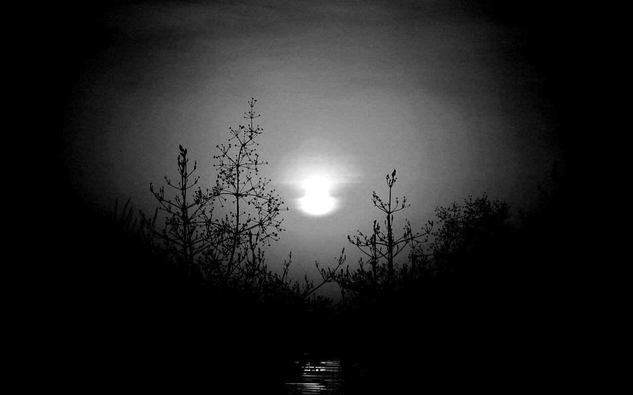 Доисторическое утро обои