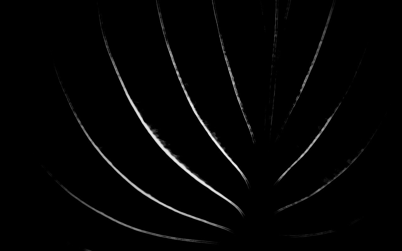 Неоновый лист обои