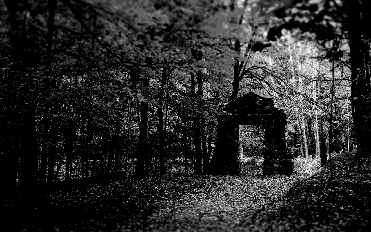 Каменная арка в осеннем лесу обои