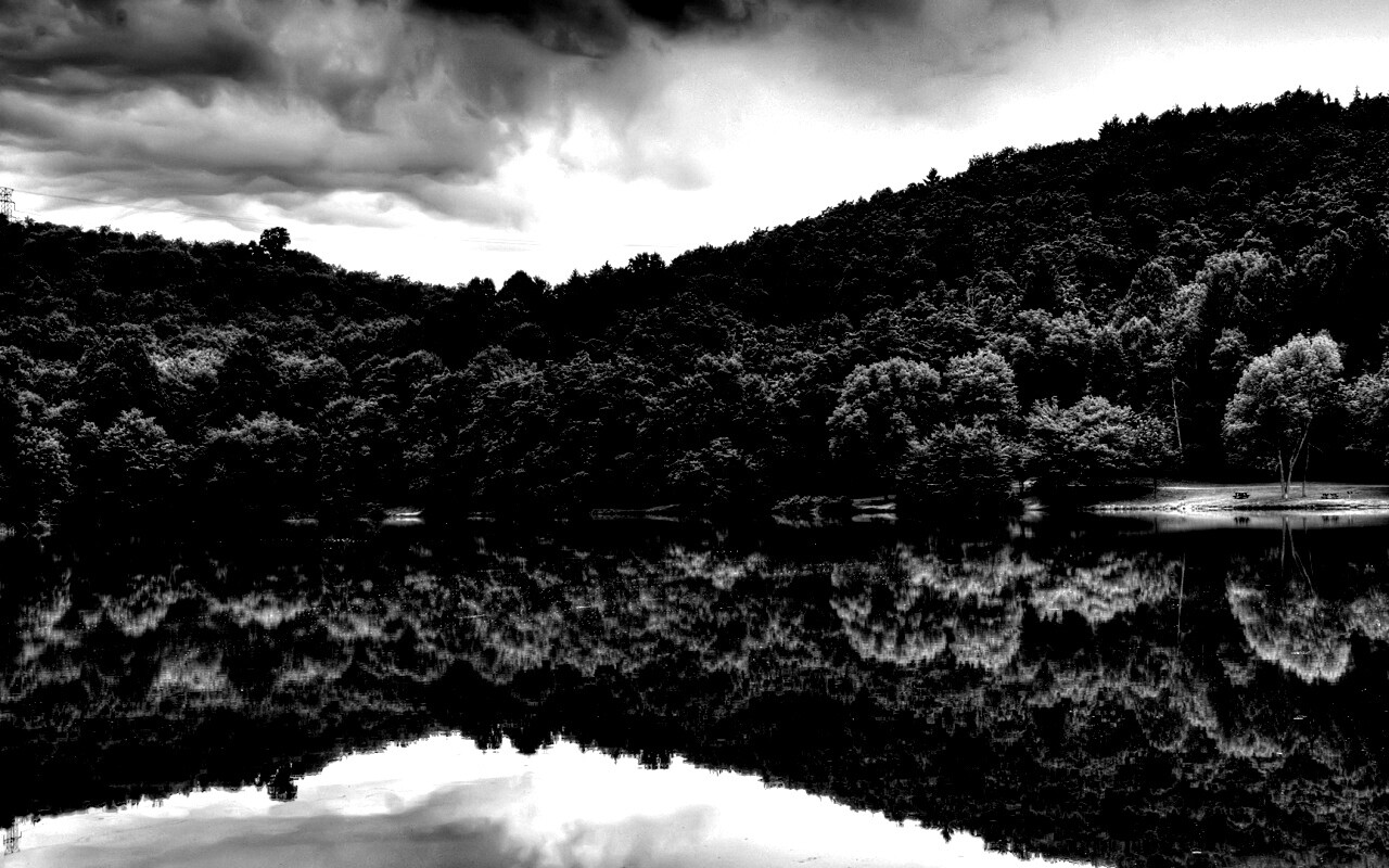 Лесной берег обои