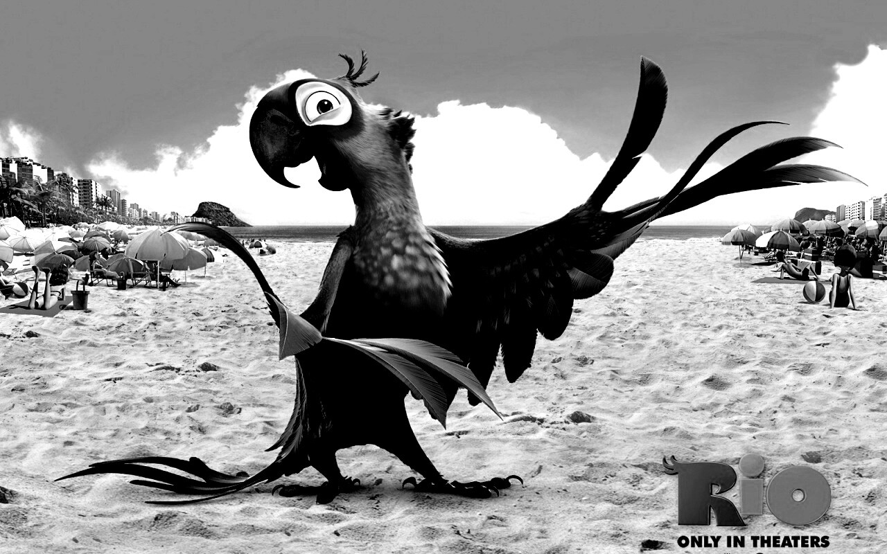 Blu из Rio обои