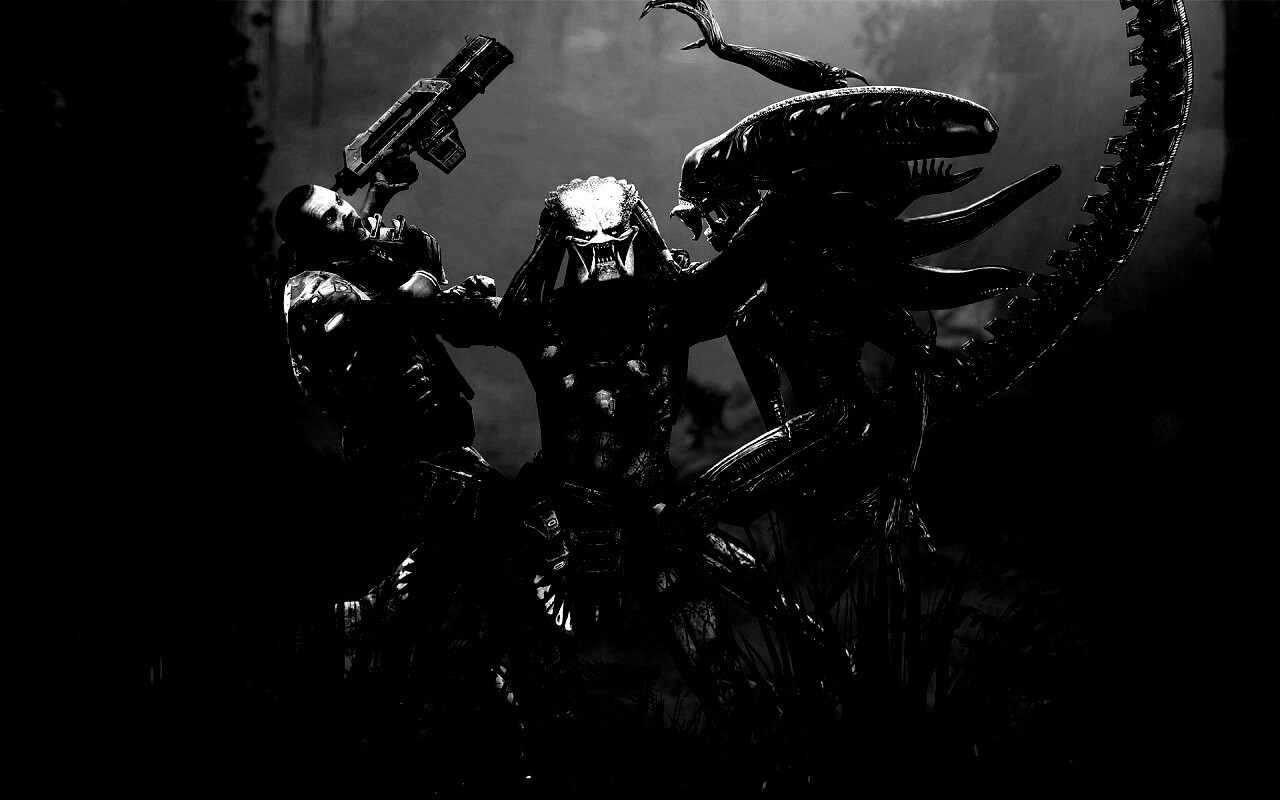 Чужой против Хищника обои