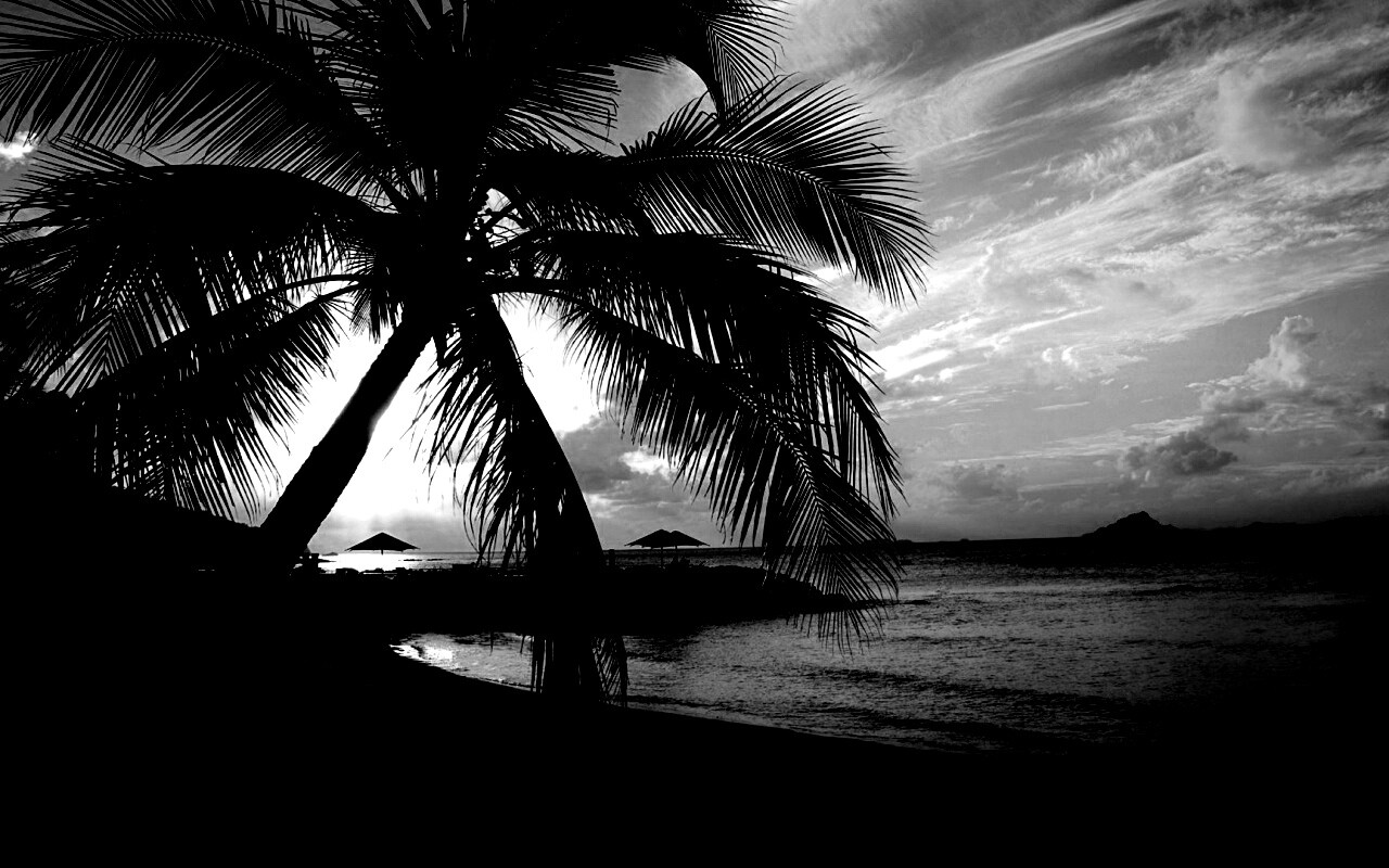 Пляж на закате обои