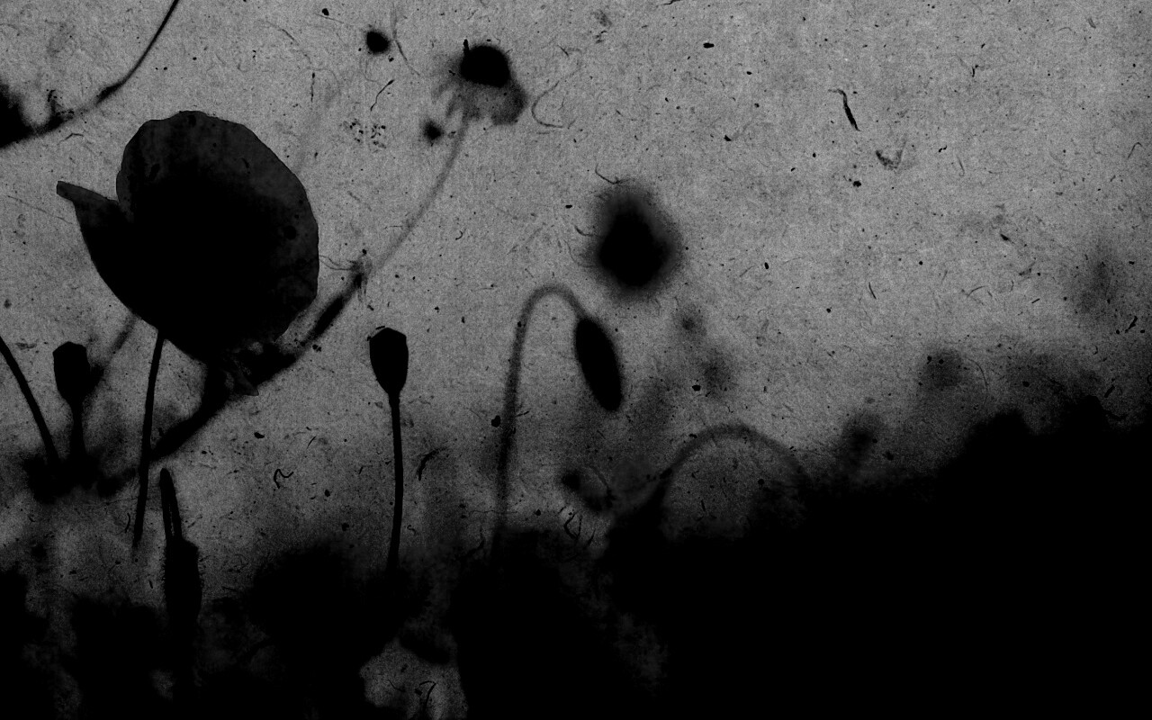 Кровавые цветы в стиле ретро обои