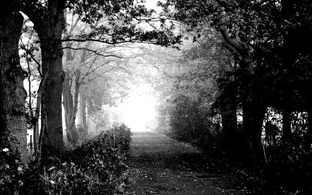 Парковая дорожка обои