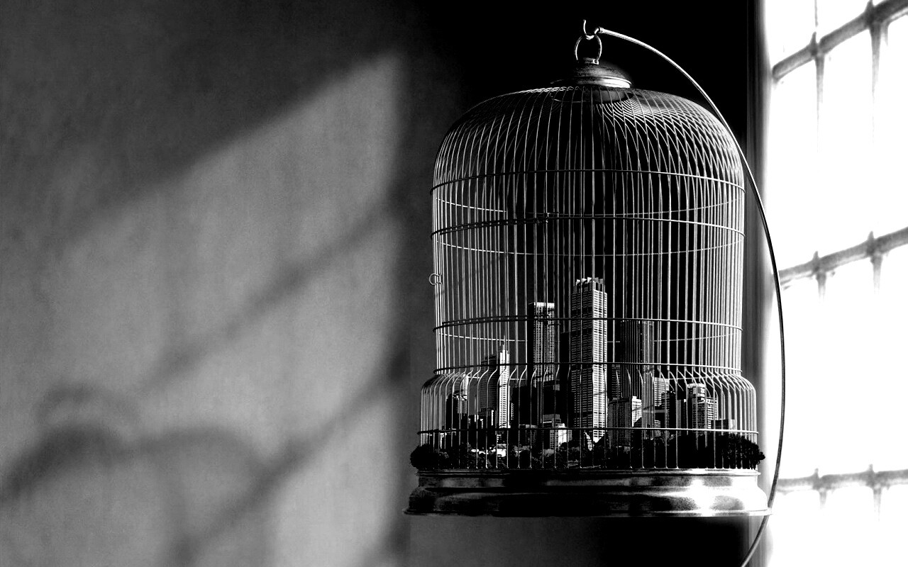 Город в клетке обои