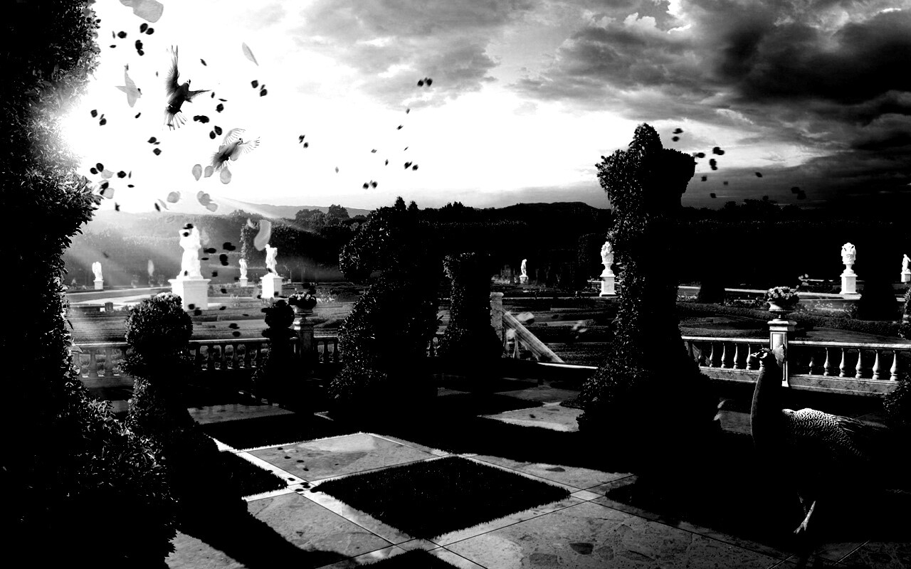 Шахматный сад обои