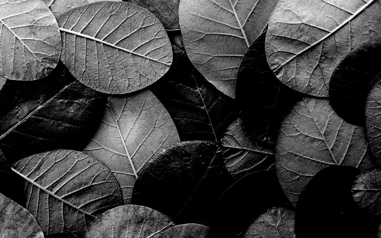 Лиственный узор обои