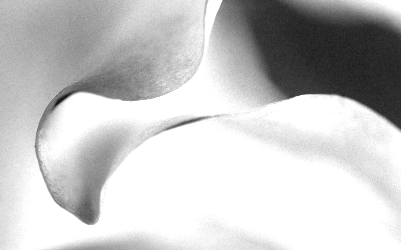 Оттенки природы обои