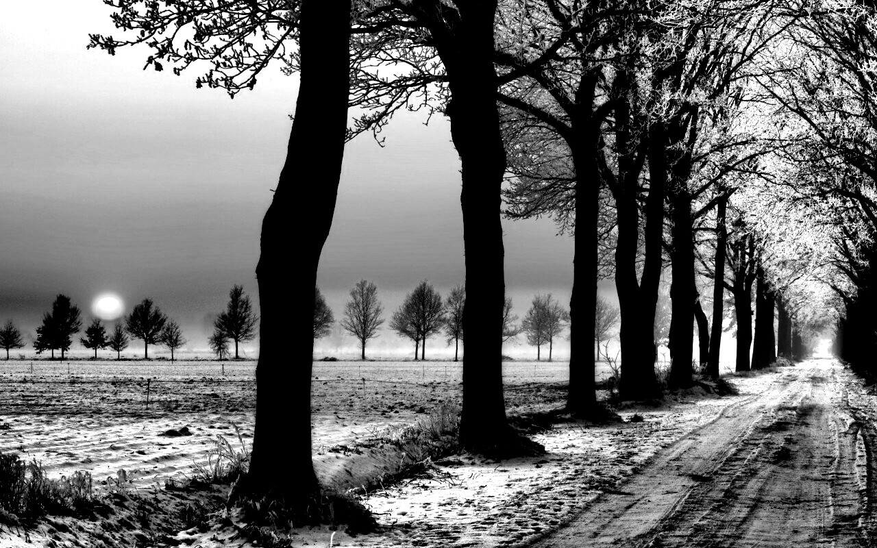 Морозное утро обои