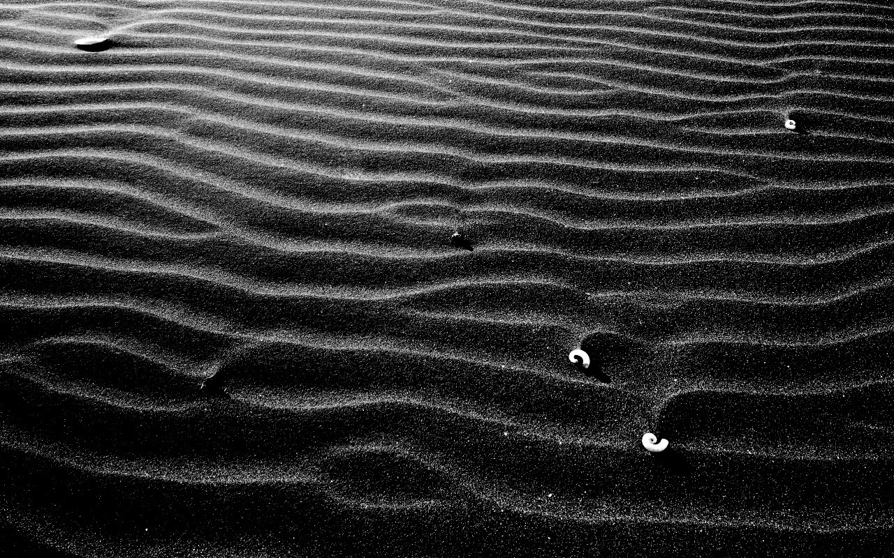 Песок и раковины обои