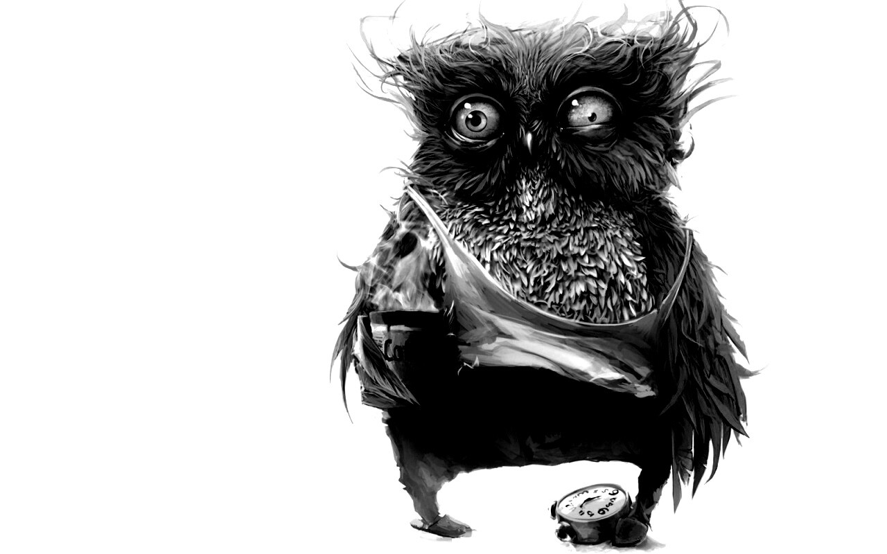 Не спящая сова обои