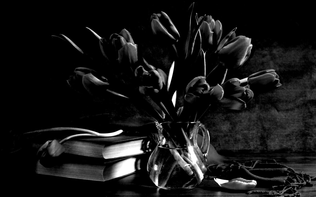 Букет красных тюльпанов обои