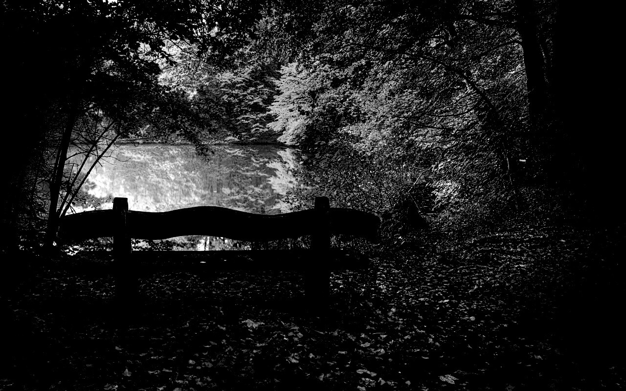 Скамейка в лесу обои