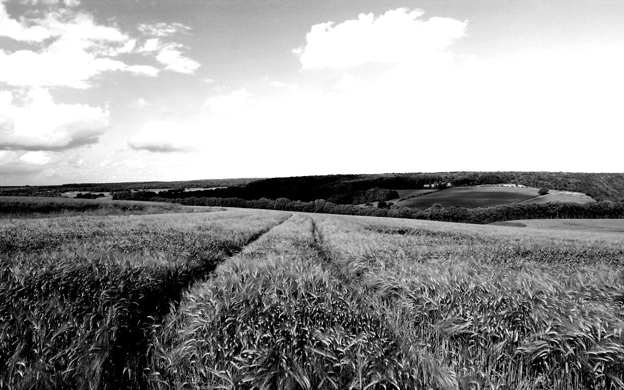 Бескрайние просторы обои