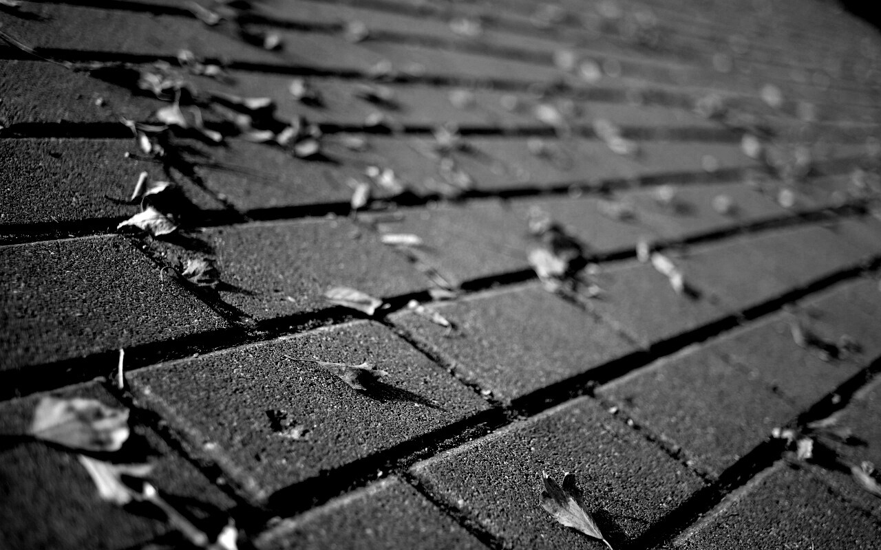 Тротуар обои