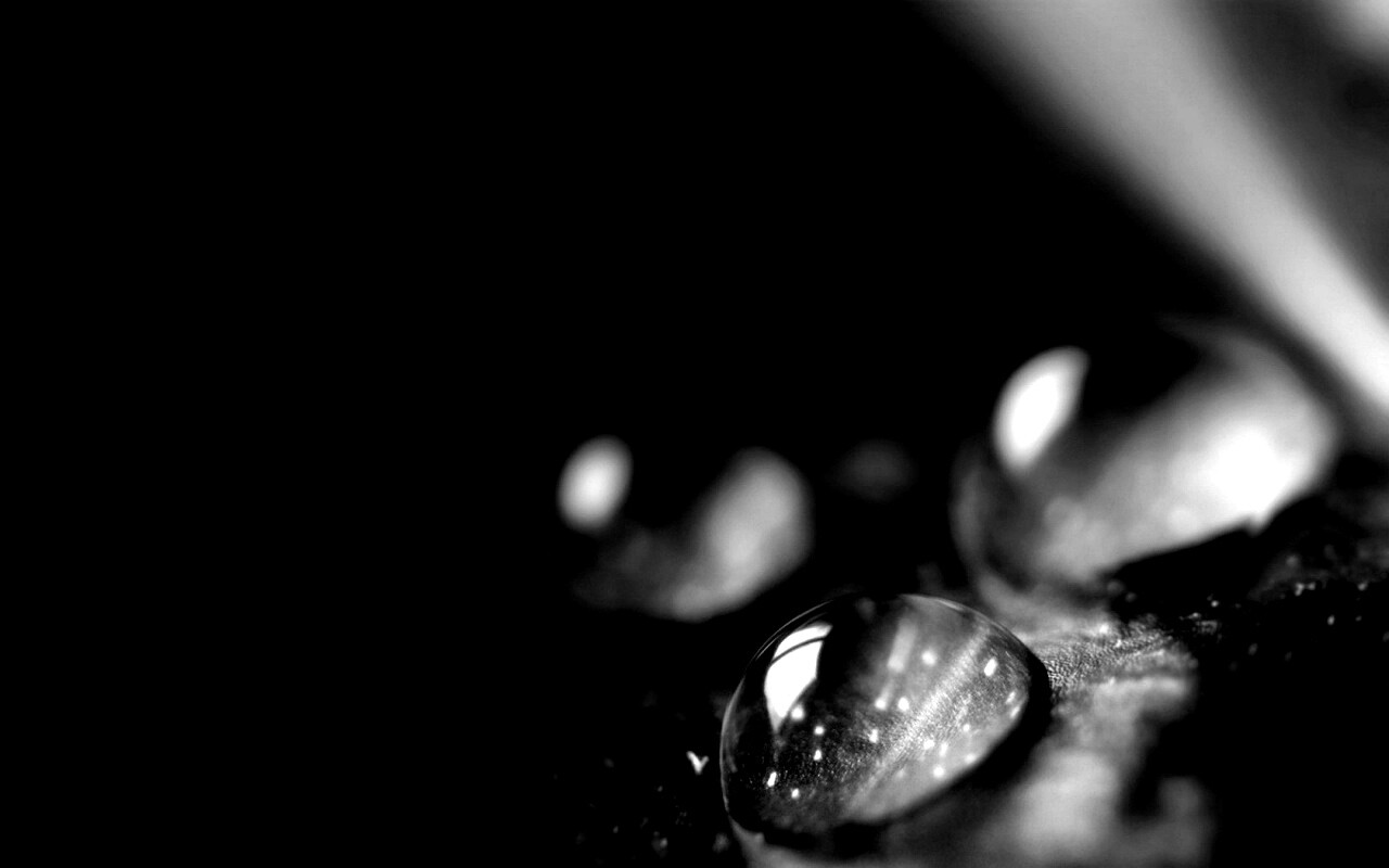 Зеленые капли росы обои